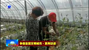 爭創(chuàng)全國文明城市·系列訪談——市農(nóng)林科學院