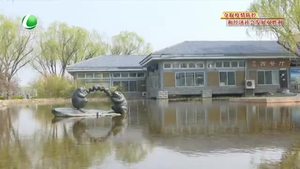 第51個(gè)世界地球日：讓我們用實(shí)際行動告白地球