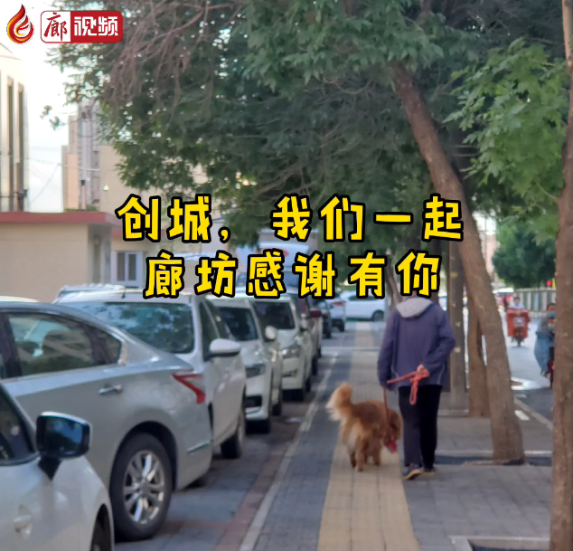 廊視頻 | “創(chuàng)城，我們一起”廊坊感謝有你