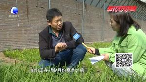 科技成果示范基地：日光溫室韭菜、黃瓜、草莓優(yōu)良品種示范