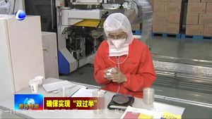 文安縣推進創(chuàng)業(yè)就業(yè)工程 激發(fā)市場主題活力