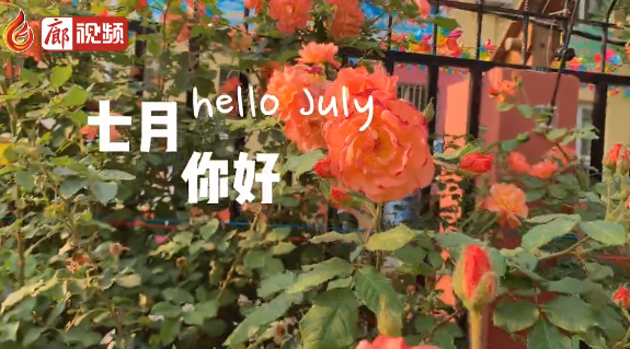 廊視頻 | 六月再見，七月你好