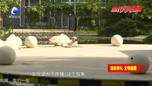 我市開展“文明養(yǎng)犬、愛護(hù)環(huán)境”行動(dòng)  加強(qiáng)養(yǎng)犬管理提升城市形象