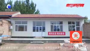 “造血”扶貧見(jiàn)成效 讓鄉(xiāng)村脫貧更有底氣