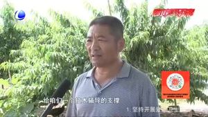 【走向我們的小康生活·幸福來(lái)敲門(mén)】固安賈各莊村種植專(zhuān)業(yè)合作社助力村民奔小康