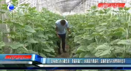【走向我們的小康生活·幸福來(lái)敲門】永清縣大青垡村：設(shè)施農(nóng)業(yè)為村民帶來(lái)好日子