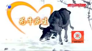 我們的節(jié)日·七夕：獨(dú)具魅力的中國(guó)情人節(jié)