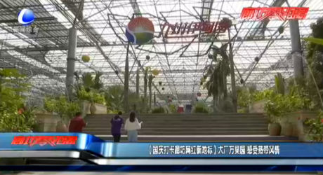 【國慶打卡廊坊網(wǎng)紅新地標】大廠萬果園 感受熱帶風(fēng)情