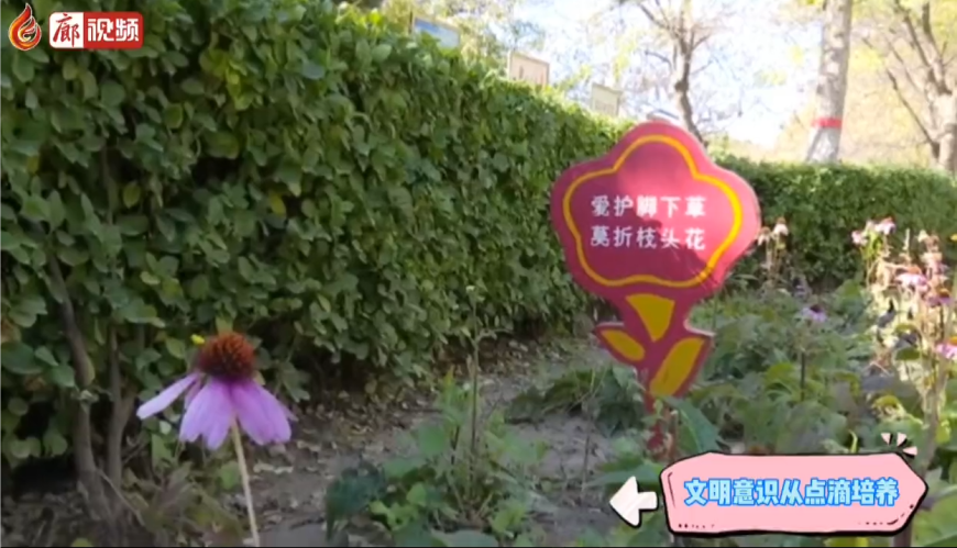  廊視頻 | 文明意識(shí)從點(diǎn)滴培養(yǎng)