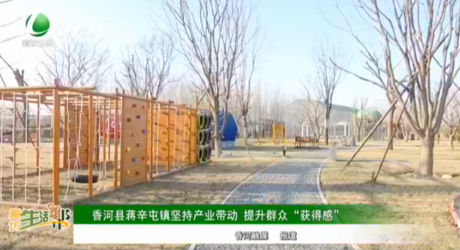 香河縣蔣辛屯鎮(zhèn)堅持產業(yè)帶動 提升群眾“獲得感”