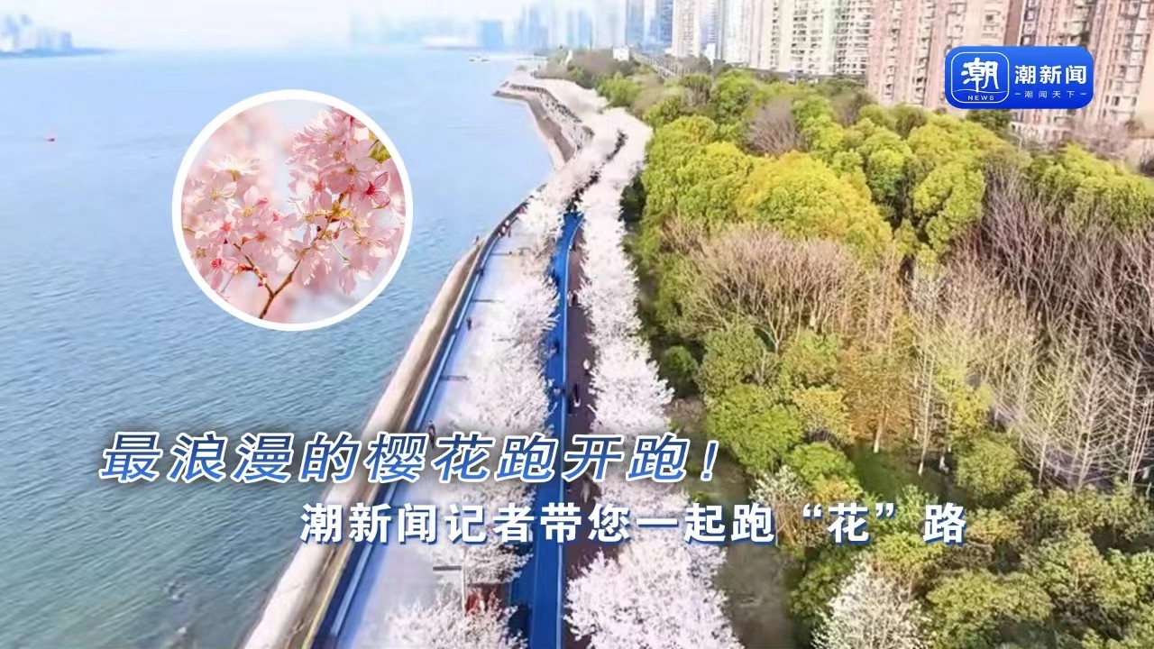 最浪漫的櫻花跑開跑！潮新聞記者帶您一起跑“花”路