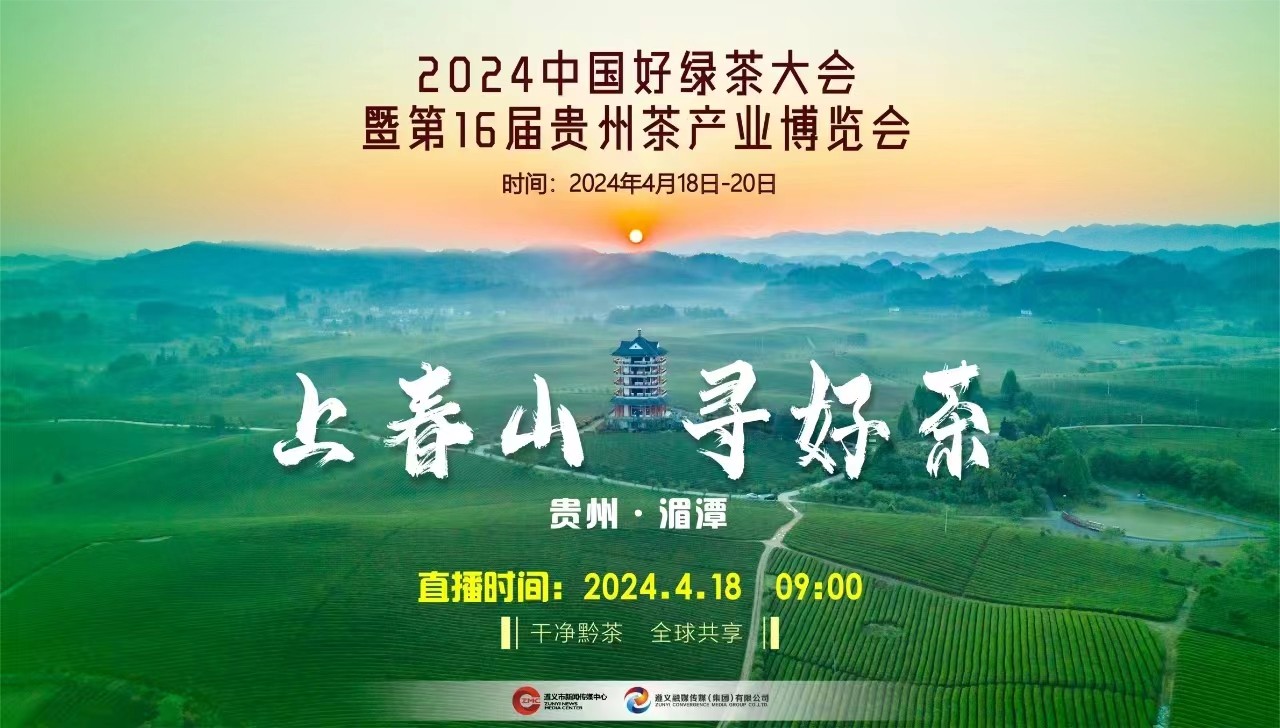 “上春山 采春茶”2024來遵義湄潭，一起采春茶