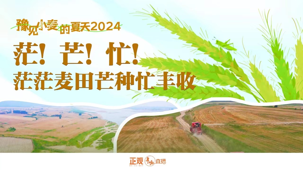 豫見小麥的夏天2024 | 茫！芒！忙！茫茫麥田芒種忙豐收！