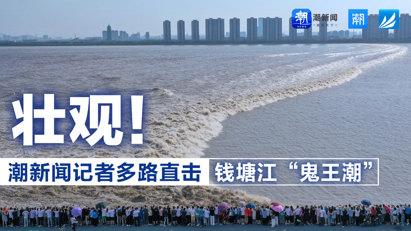 壯觀！潮新聞記者多路直擊錢塘江“鬼王潮”