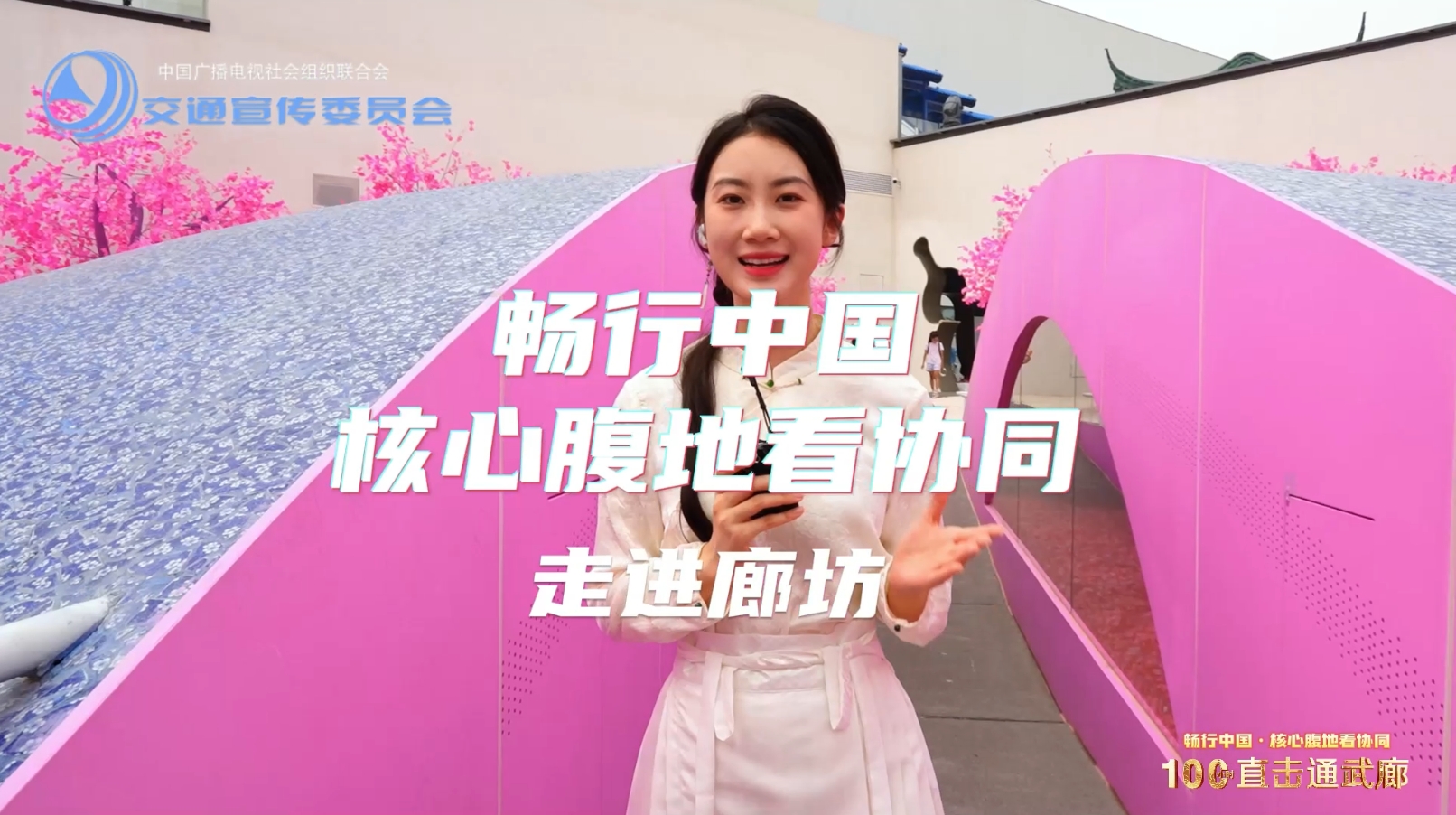核心腹地看協(xié)同·走進(jìn)廊坊——千年運河 十年蝶變