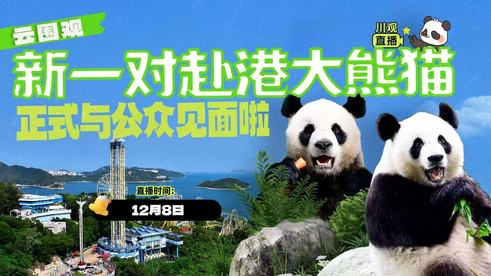云圍觀！新一對赴港大熊貓正式與公眾見面啦