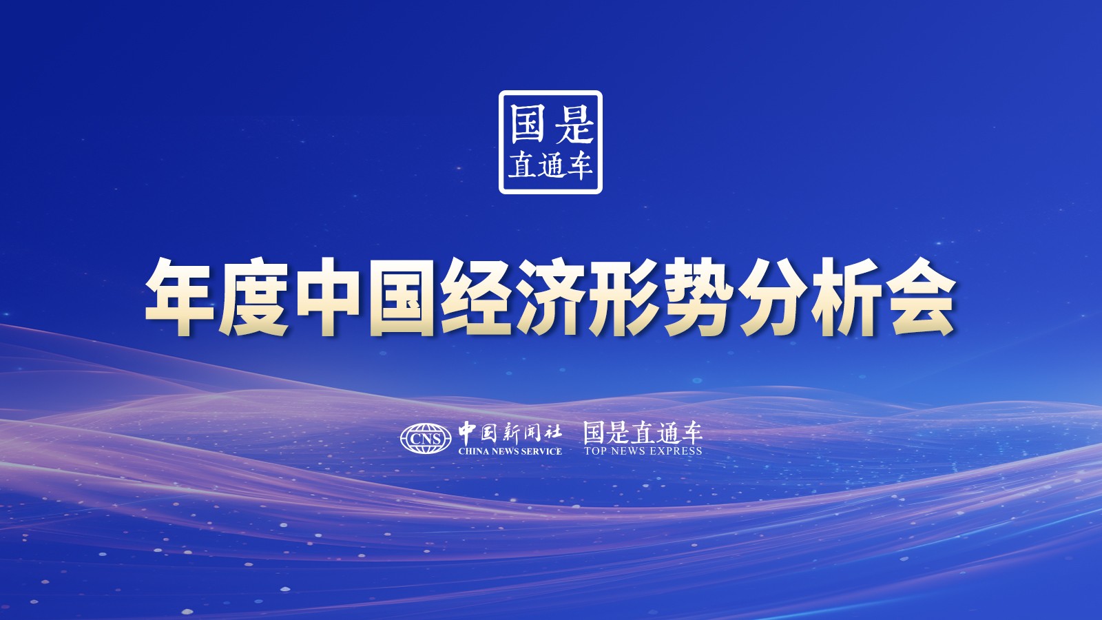 年度中國經(jīng)濟(jì)形勢分析會